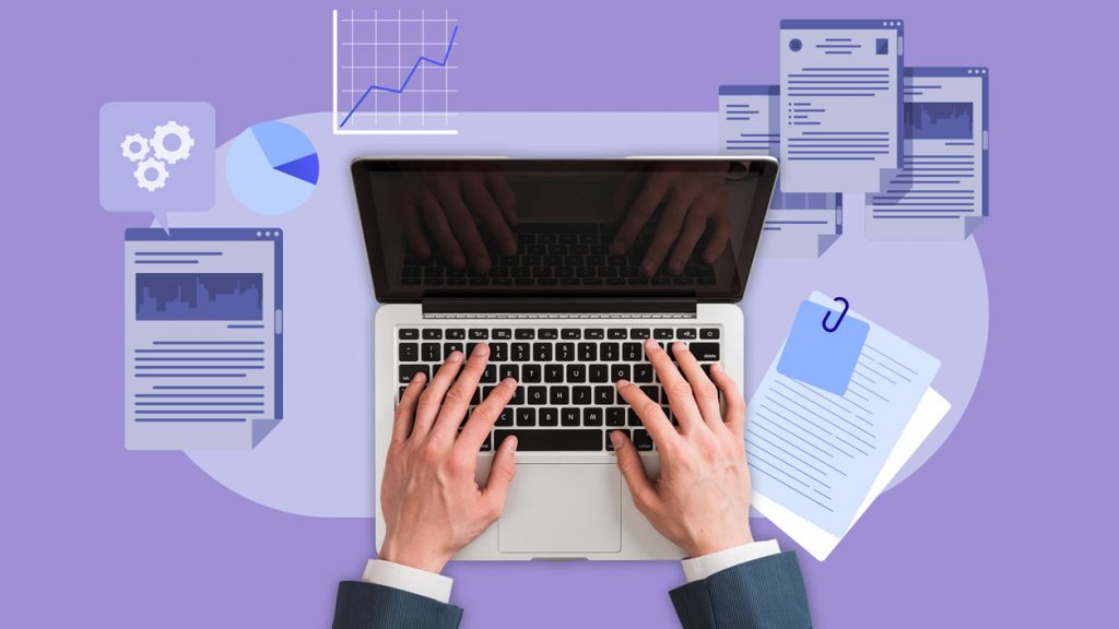 Relatórios e Insights